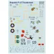Print Scale 72-548 1/72 Decal For Republic P-47 Thunderbolt