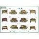 Model Maker D35015 1/35 Decal For Polish Tanks Markings 1920 - 1939