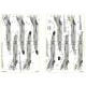 Kits World Kw144058 1/144 Decal For F-4b/C Phantom- Us Marine Corps