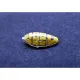 Dead Design Vm144004 1/144 Painting Canopy Mask N1k2-j Shiden Kai 2 Masks For Fujimi
