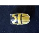 Dead Design Nm72308 1/72 Painting Canopy Mask F4u-1d Corsair For Hasegawa