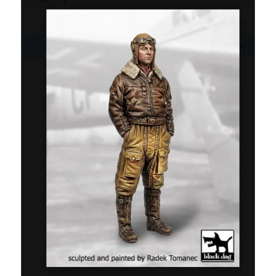 Black Dog F32192 1/32 German Pilot Wwii /2 Resin Figures Kit