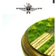 77propeller Prp504 1/48 Wooden Oak Boards 50 Pieces