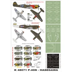 Montex K48071 1/48 P-40n 2 Canopy Mask Out And In And 3 Insignia Masks For Hasegawa Kits