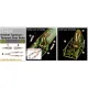 Metallic Details Mdr72139 1/72 Hawker Typhoon Early-type Pilot Seats With 3d Decal Seat Belts 2 Pcs 3d Printed Detail Set