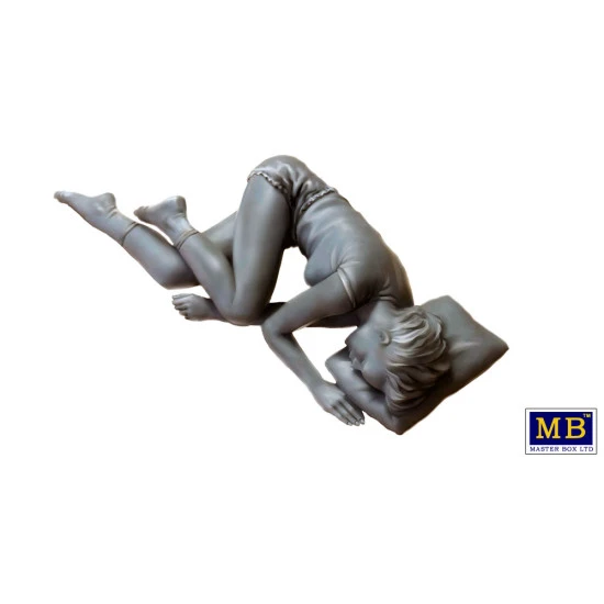 KITTY (PRINCESS) JAMES - TRUCKERS SERIES PLASTIC MODEL KIT 1/24 MASTER BOX 24046