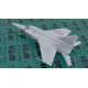 MIG-25 RBF, SOVIET RECONNAISSANCE PLANE MODEL KIT AIRCRAFT 1/48 SCALE ICM 48904