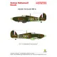 Techmod 24004 1/24 Hawker Hurricane Mk I Raf Polish Ternhill Fighter Wet Decal