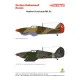 Techmod 24013 1/24 Hawker Hurricane Iic Turkish Raf Aircraft Wet Decal Wwii
