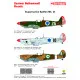 Techmod 32043 1/32 Supermarine Spitfire Ix 1948-1949 Israeli Aircraft Wet Decal