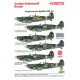Techmod 48005 1/48 Supermarine Spitfire Mk Vb Polish Aircraft Wet Decal W/Mask