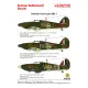 Techmod 48025 1/48 Hawker Hurricane Mk I 1940 Polish Aircraft Wet Decal Wwii