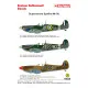 Techmod 48029 1/48 Supermarine Spitfire Mk Vb Aircraft Wet Decal Wwii