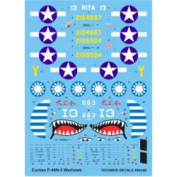 Techmod 48054 1/48 Curtiss P-40n-5 Warhawk Fighter Aircraft Wet Decal Wwii