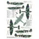 Techmod 48079 1/48 Supermarine Spitfire Ix Polish Aircraft Wet Decal W/Masks Wwii