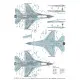 Techmod 48096 1/48 General Dynamics F-16c/D Block 52 Polish Aircraft Wet Decal