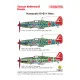 Techmod 72027 1/72 Kawasaki Ki-61 Hien Tei 1945 Japan Aircraft Wet Decal Wwii