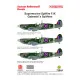 Techmod 72044 1/72 Supermarine Spitfire F.ix Gabreskis Spitfires 1943 Wet Decal