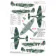 Techmod 72048 1/72 Supermarine Spitfire F.ix Polish Aircraft Wet Decal Wwii