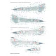 Techmod 72156 1/72 Mig-23mf Polish Fighter Aircraft Wet Decal