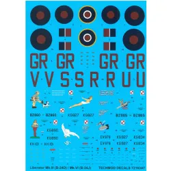 Techmod 72163 1/72 Liberator B-24 Brindisi, Italy 1944-1945 Aircraft Wet Decal