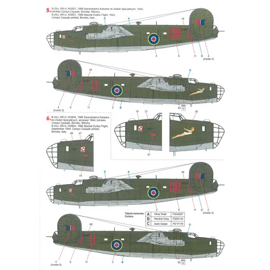 Techmod 72163 1/72 Liberator B-24 Brindisi, Italy 1944-1945 Aircraft Wet Decal
