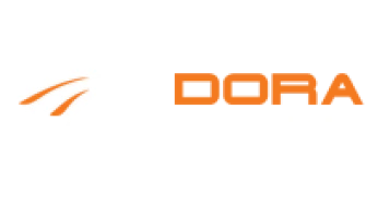 Dora Wings Newest October 2021