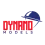 Dynamo Models