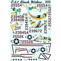DECAL FOR P-61 BLACK WIDOW PART 1 1/48 PRINT SCALE 48-034